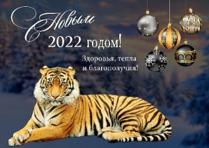 Поздравляем С Новым 2022 годом!