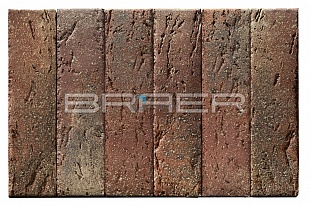 ������������ ������ BRAER PRO 55.08.1