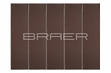     1  BRAER
