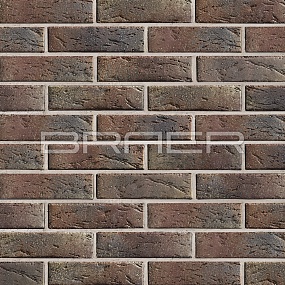 ������������ ������ BRAER PRO 55.08.1