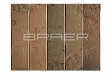  " "   1  BRAER