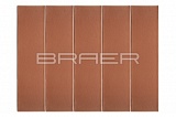      1  BRAER