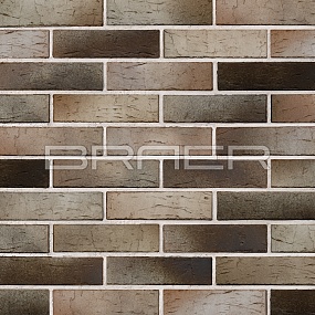   BRAER PRO 14.04.1