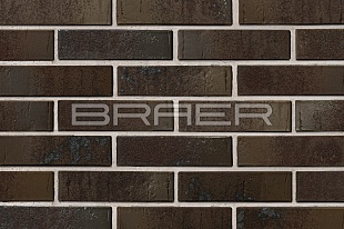   BRAER PRO 78.09