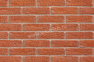 ������ ������� ������������ ��������� ������� ����� ���� �150