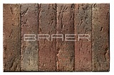   BRAER PRO 55.08.1