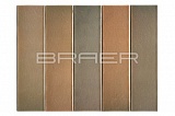     " " 1  BRAER