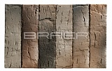   BRAER PRO 14.04.1