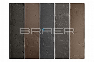 ������ ������� "��������� ������" Limited ����� 1�� BRAER