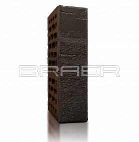   BRAER PRO 78.09