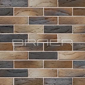   BRAER PRO 5.06