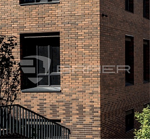 ������ ������� "��������� ������" ������� 0,7 �� BRAER