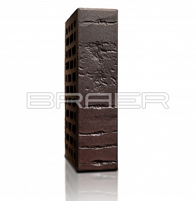   BRAER PRO 28.09