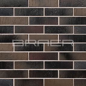   BRAER PRO 28.09