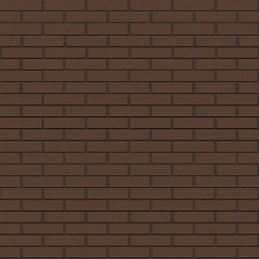 ������ ������������ ������� ���������� 1 �� BRAER