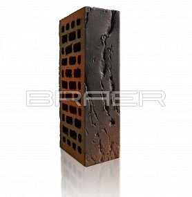   BRAER PRO 5.06