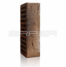   BRAER PRO 14.04.1