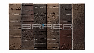   BRAER PRO 28.09