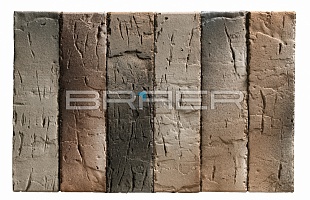   BRAER PRO 14.04.1