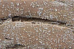     ,    , 1 