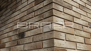 ������������ ������ BRAER PRO 14.04.1